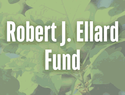 Robert J. Ellard Fund
